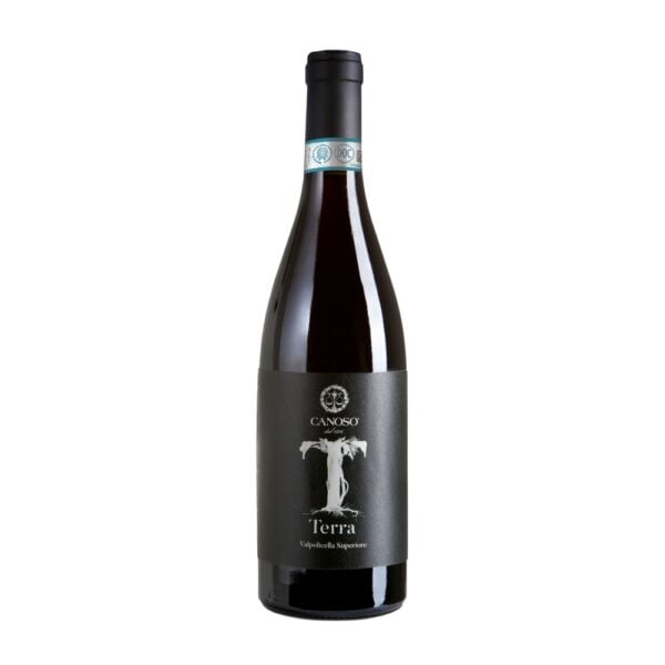 Valpolicella Superiore DOC "Terra" 2019 Canoso