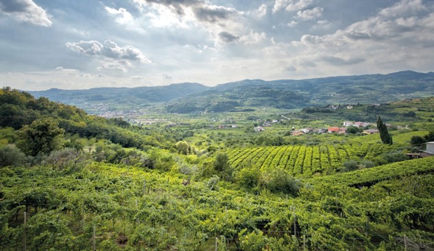 Monti Lessini, valleys and wines