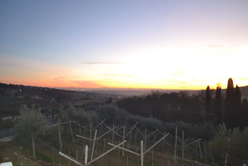 Fratelli Vogadori winery: brotherhood in Valpolicella