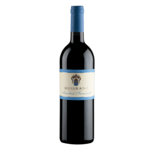 Valpolicella DOC Classico Superiore Squarano Appassimento 2016 Fumanelli